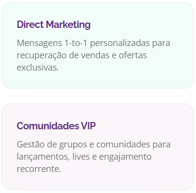 whatsapp marketing head ecommerce mobile
